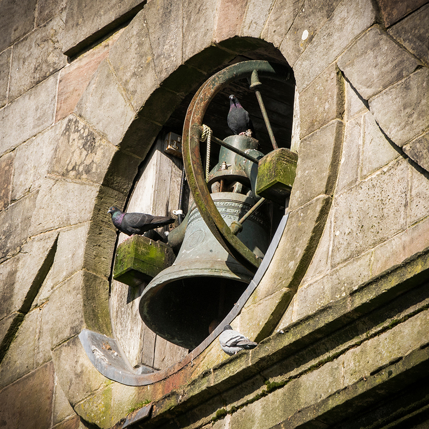 Pigeons Roost on a Bell