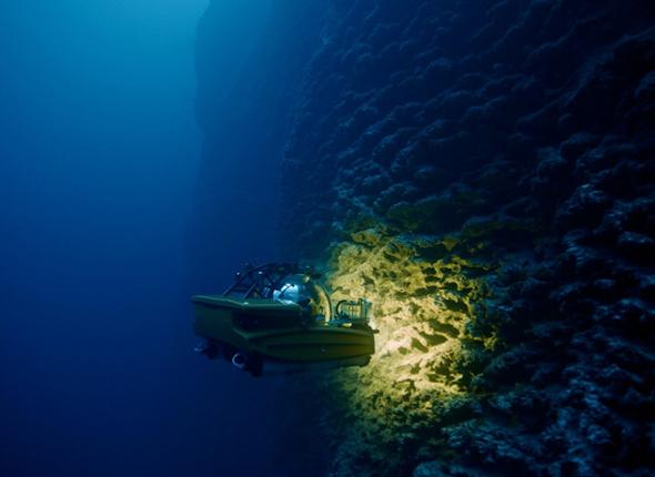 OceanX submersible explores a reef in the Red Sea